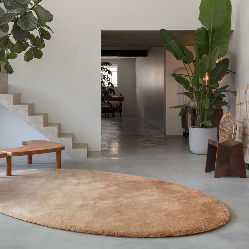 LIMITED EDITION | MANAS TRADING（マナトレーディング